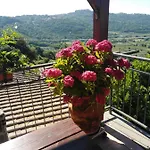 La Fenice Montefiascone