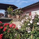 La Fenice Montefiascone