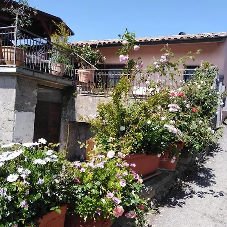 La Fenice Apartmán *