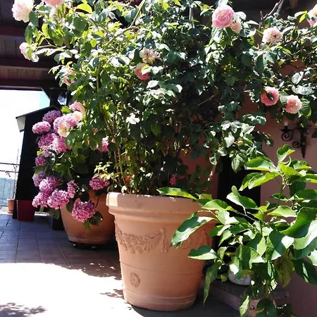 La Fenice * Montefiascone