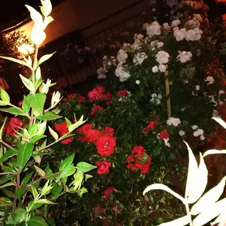 La Fenice 公寓 蒙蒂菲阿斯科尼