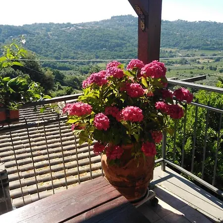 La Fenice Montefiascone