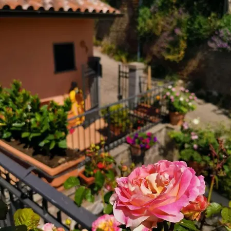 La Fenice Apartment